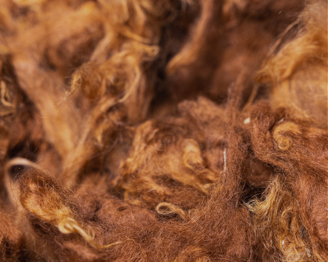 Nahaufnahme eines Alpakafells